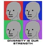 NPC - Diversity Is Our Strength